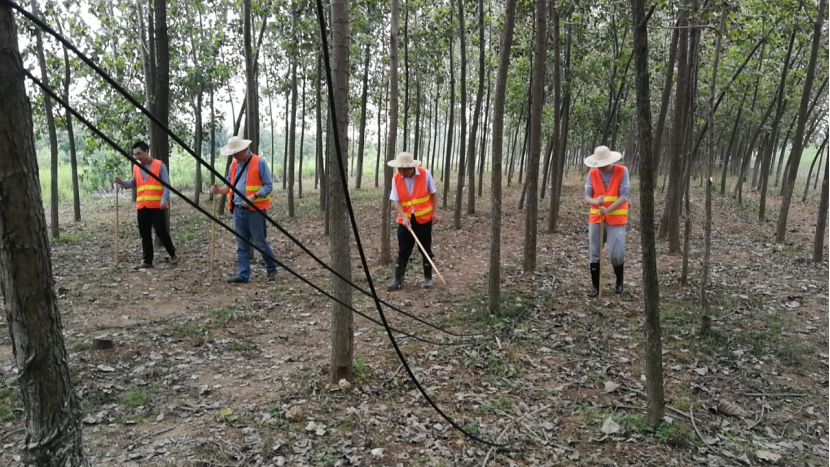 (图为排查江堤事情)
